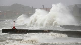 Un puissant typhon s'abat sur Tokyo