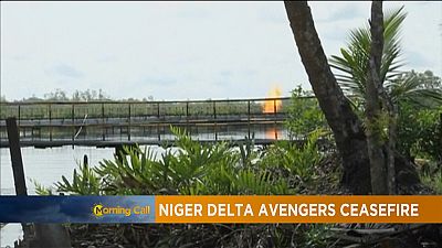 Niger Delta Avengers call for ceasefire [The Morning Call]