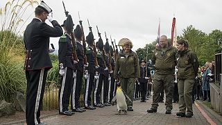 King penguin given 'Brigadier Sir' title by Royal Norwegian Guard