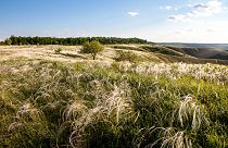 Коли надія сильніша за скруту: неймовірні проекти жителів Донбасу