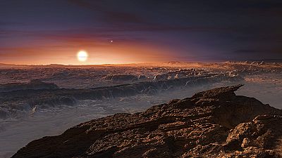 Earth-like planet on our cosmic doorstep