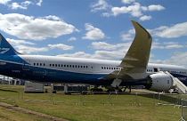 ANA приостановила полеты своих самолетов Dreamliner из-за проблем с двигателями