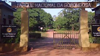 Les difficultés du parc du Gorongosa, au Mozambique