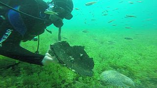 Plongée dans le lac macédonien d'Ohrid : retour à l'âge de bronze