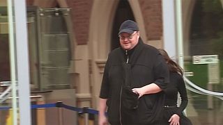 Kim Dotcom still @ work: tech exec fights for extradition appeal to be livestreamed