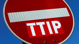 Ttip, dopo i tedeschi anche i francesi: "Cancellare i negoziati e ripartire da zero"