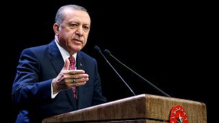 Cumhurbaşkanı Erdoğan: "YPG, Fırat'ın doğusuna geçmedi"