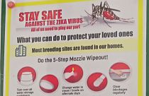 Έντονες ανησυχίες του ΠΟΥ για την εξάπλωση του ιού Ζίκα