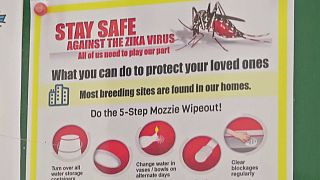 OMS mantém alerta para propagação do vírus Zika