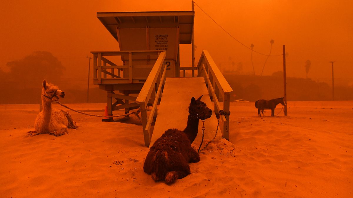 Fast-Spreading Hill and Woolsey Fires Force Evacuations In California's Ven