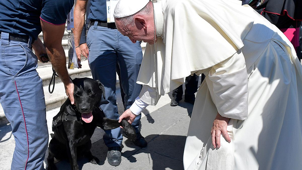 Leo, el héroe canino del terremoto en Italia, felicitado por el Papa.
