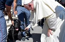 Pope shakes paw of rescue dog