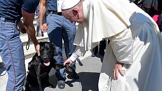 Papa Francesco accarezza Leo, il labrador che ha salvato Giorgia