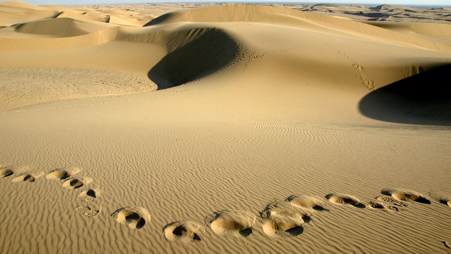 Bush Reversal of Protection for Dunes Challenged