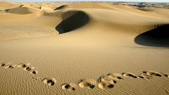Bush Reversal of Protection for Dunes Challenged