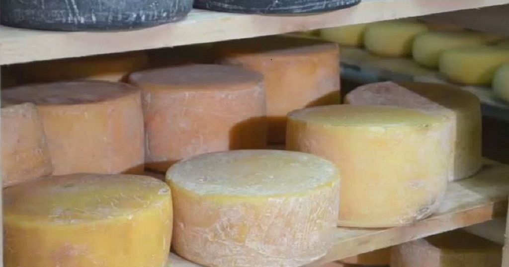 Kenyans are gradually loving cheese Africanews