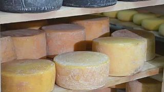 Le fromage de plus en plus présent dans les assiettes des Kényans