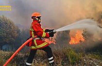 France : les flammes épargnent Cassis et les calanques