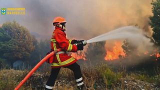 France : les flammes épargnent Cassis et les calanques