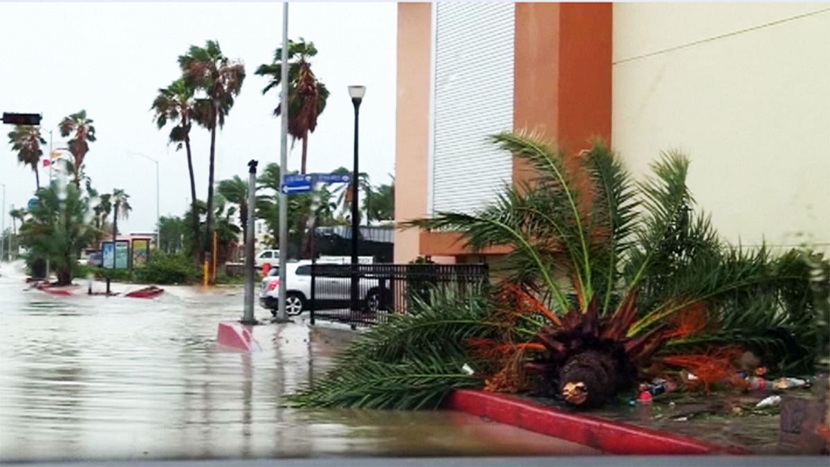 Newton Kasırgası Meksika kıyılarını vurdu
