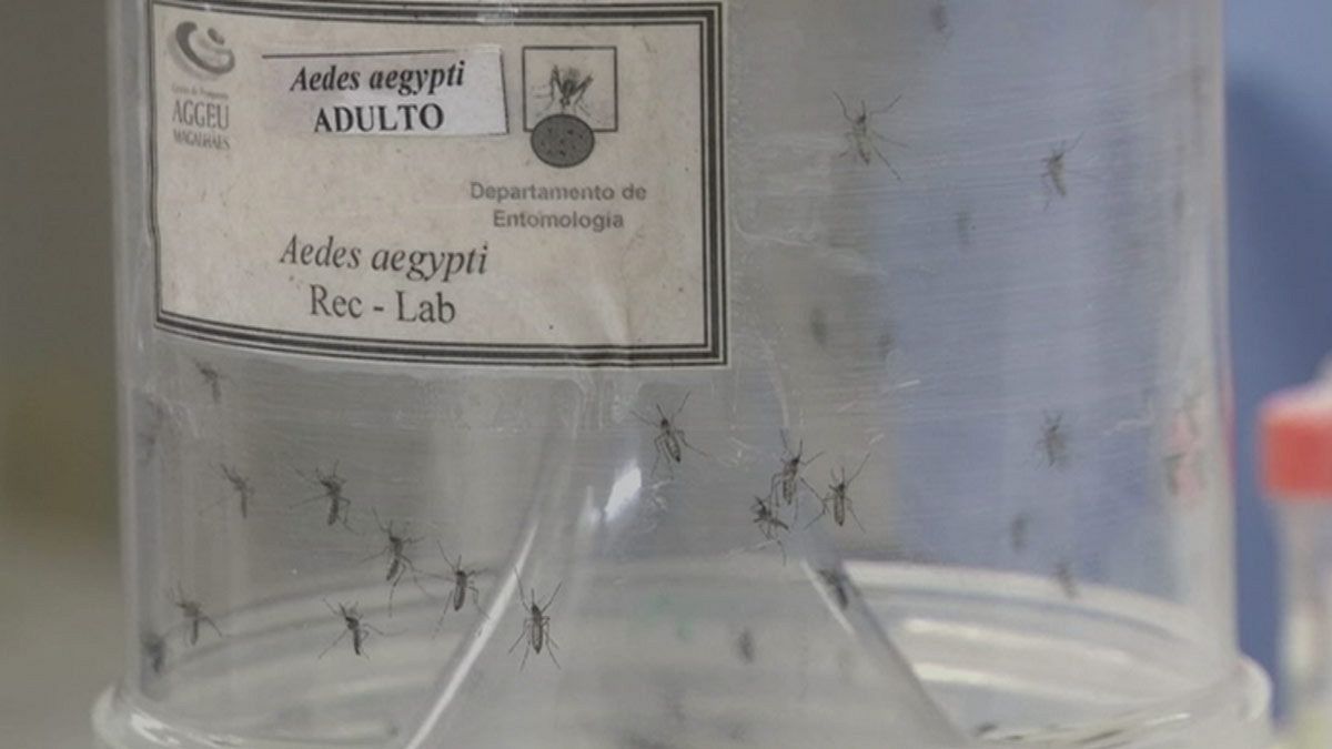 Malásia: primeiro caso de mulher grávida com Zika