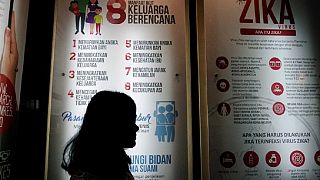 La Malaisie déclare son premier cas de Zika sur une femme enceinte
