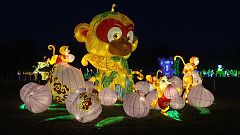 Chinesisches Lichterfest auf der Donau
