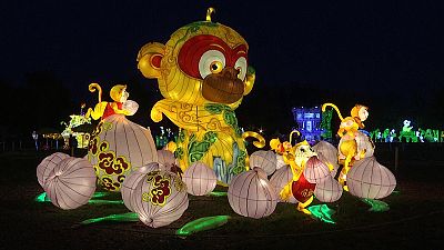 Festival delle luminarie cinesi sull'isola viennese sul Danubio