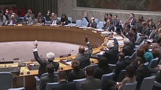 Совет Безопасности ООН осудил ядерное испытание в КНДР
