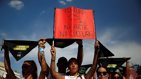Madrid: Thousand protesters call for an ban on bullfighting
