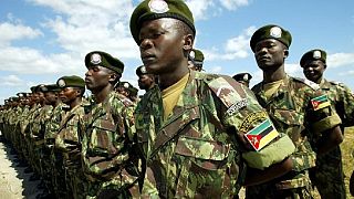 Mozambican army destroys rebel base