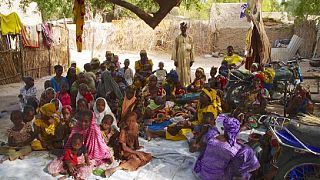 Northeastern Nigeria experiencing world's worst food crisis, UNICEF