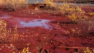 Sibirien: Unfall in Nickelfabrik kontaminiert sibirischen Fluss mit blutrotem Schlamm