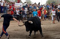Spagna: scontri animalisti-tradizionalisti al Toro de la Vega
