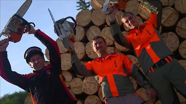 Le (très sérieux) championnat du monde de tronçonneuse Le (très sérieux) championnat du monde de tronçonneuse