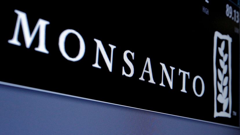Bayer to buy Monsanto in latest agrochemicals consolidation | Euronews