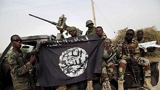 Niger: 5 soldiers, 30 terrorists killed following Boko Haram attack