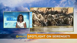 Spotlight on Serengeti [Travel on The Morning Call]