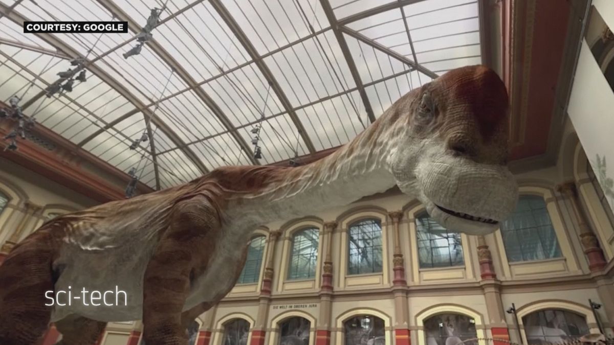 Berlin : un dinosaure reprend vie dans un musée