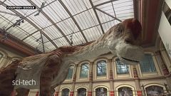 Dinozorlarla karşılaşmaya hazır mısınız?