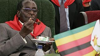 EU MPs condemn Mugabe's attack on judiciary, want all political prisoners released