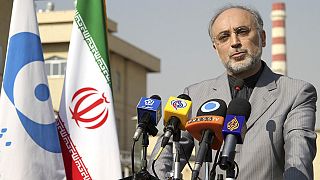 صالحی: استراتژی هسته‌ای ایران ساخت راکتورهای کوچک خواهد بود