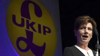 Diane James elected as new leader of UKIP party