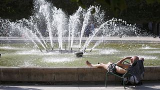 Эксперты ООН: июль и август 2016 года стали самыми жаркими за всю историю наблюдений