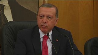 Turchia: presidente Erdogan critica operazioni Usa in Siria