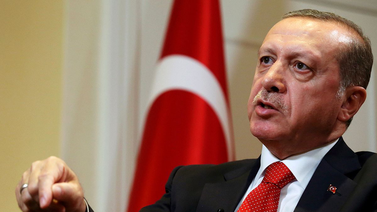 Erdogan says US 'should not harbour a terrorist' like Gulen