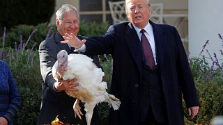 Image: U.S. President Trump pardons Thanksgiving turkey "Peas" during cerem