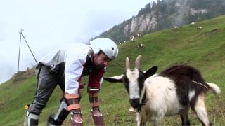 Brit wins Ig Nobel Prize for impersonating a goat