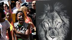 Artenschutzkonferenz in Südafrika soll Schutz vieler Tiere verbessern