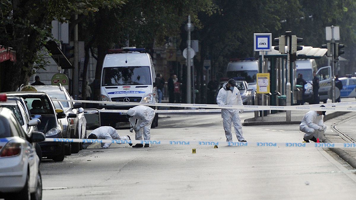 دو مامور پلیس مجارستان بر اثر انفجار بمب دست ساز زخمی شدند
